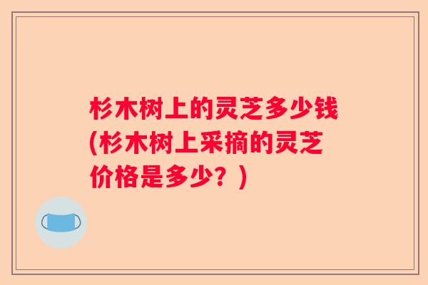 杉木树上的灵芝多少钱(杉木树上采摘的灵芝价格是多少？)