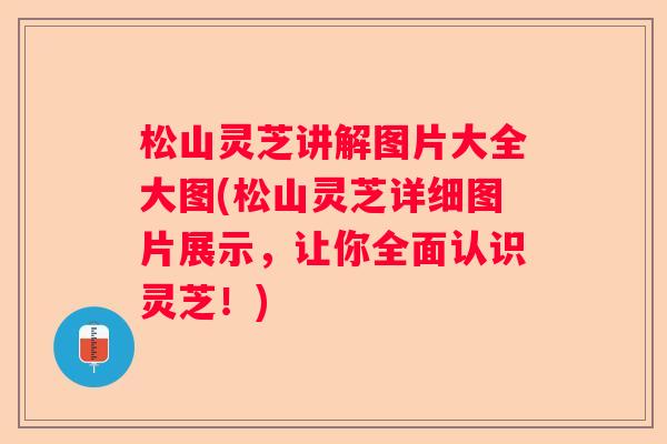 松山灵芝讲解图片大全大图(松山灵芝详细图片展示，让你全面认识灵芝！)