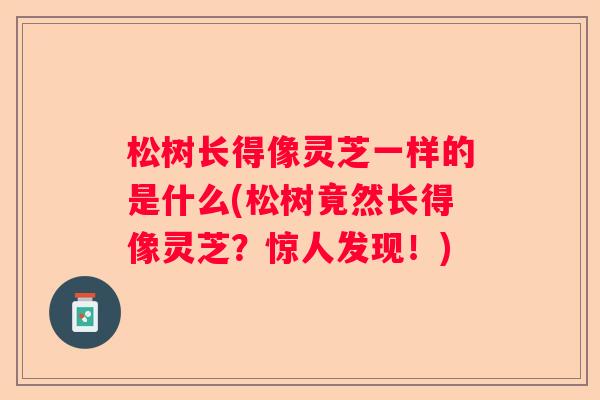 松树长得像灵芝一样的是什么(松树竟然长得像灵芝？惊人发现！)