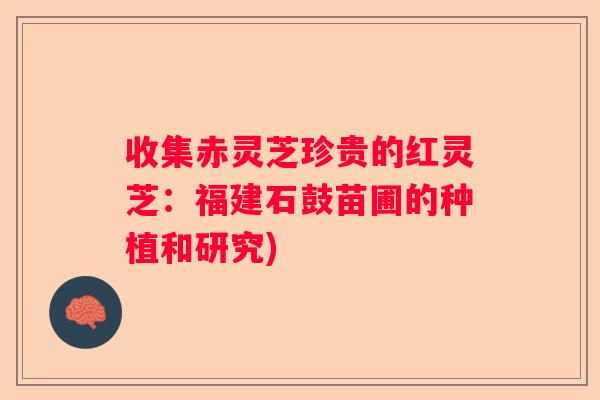 收集赤灵芝珍贵的红灵芝：福建石鼓苗圃的种植和研究)
