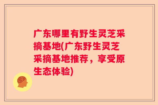 广东哪里有野生灵芝采摘基地(广东野生灵芝采摘基地推荐，享受原生态体验)