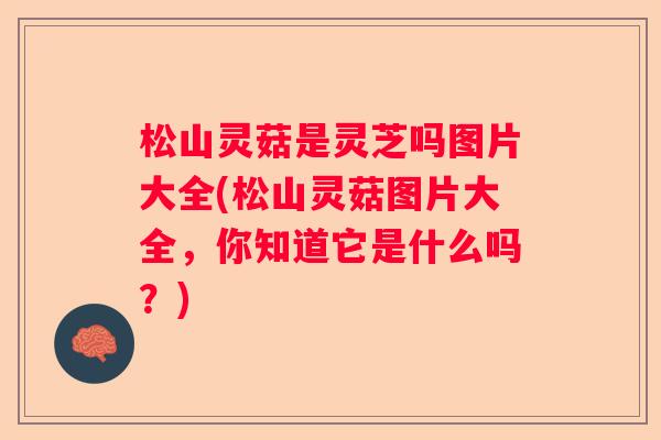 松山灵菇是灵芝吗图片大全(松山灵菇图片大全，你知道它是什么吗？)