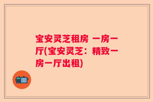 宝安灵芝租房 一房一厅(宝安灵芝：精致一房一厅出租)