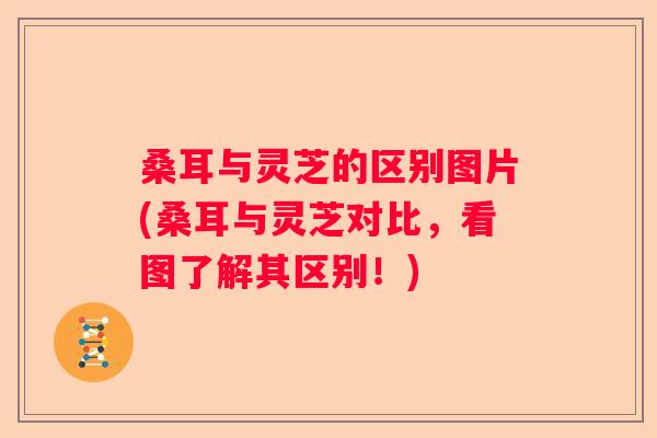 桑耳与灵芝的区别图片(桑耳与灵芝对比，看图了解其区别！)