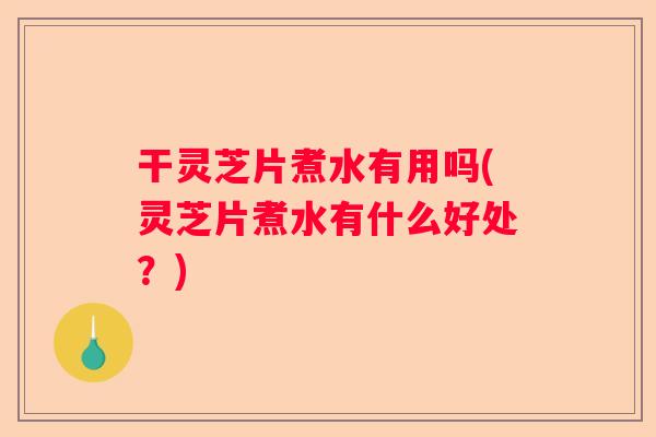 干灵芝片煮水有用吗(灵芝片煮水有什么好处？)