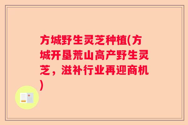 方城野生灵芝种植(方城开垦荒山高产野生灵芝，滋补行业再迎商机)