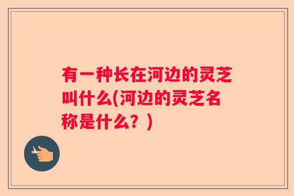 有一种长在河边的灵芝叫什么(河边的灵芝名称是什么？)