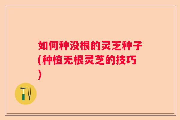 如何种没根的灵芝种子(种植无根灵芝的技巧)