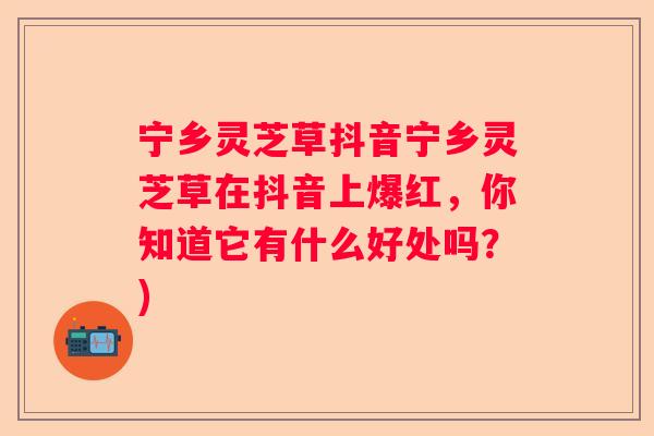 宁乡灵芝草抖音宁乡灵芝草在抖音上爆红，你知道它有什么好处吗？)