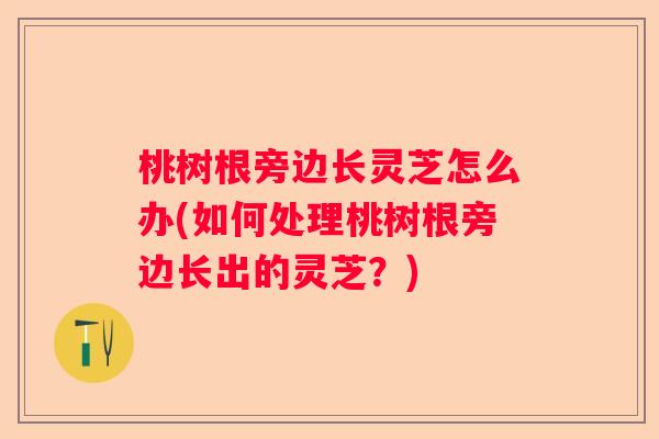 桃树根旁边长灵芝怎么办(如何处理桃树根旁边长出的灵芝？)