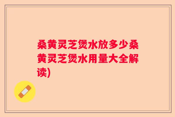 桑黄灵芝煲水放多少桑黄灵芝煲水用量大全解读)