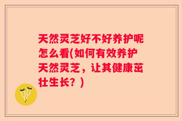 天然灵芝好不好养护呢怎么看(如何有效养护天然灵芝，让其健康茁壮生长？)