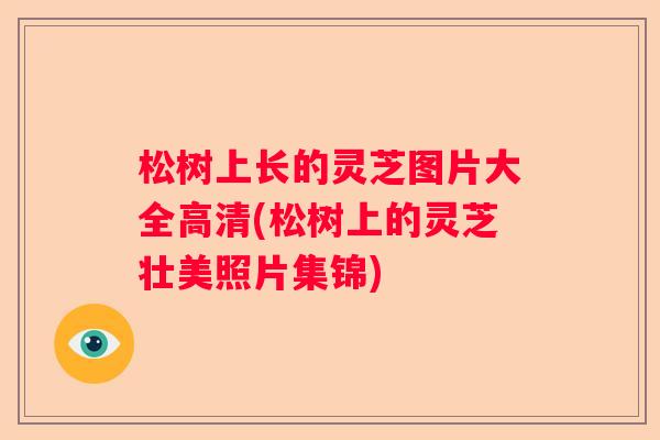 松树上长的灵芝图片大全高清(松树上的灵芝壮美照片集锦)