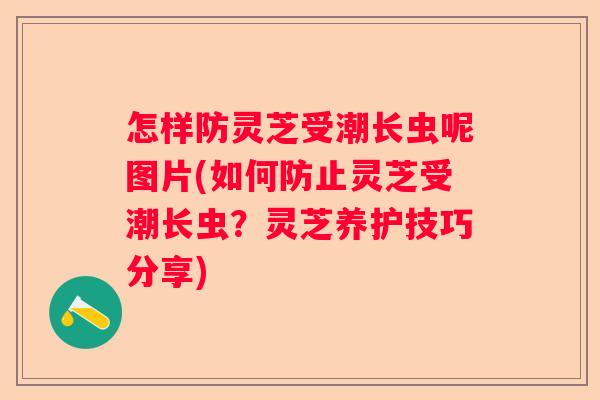 怎样防灵芝受潮长虫呢图片(如何防止灵芝受潮长虫？灵芝养护技巧分享)