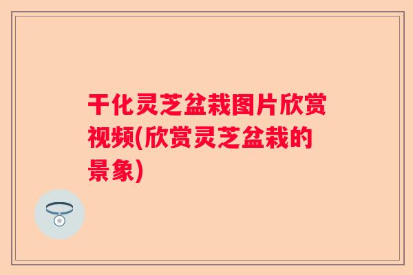 干化灵芝盆栽图片欣赏视频(欣赏灵芝盆栽的景象) 干化灵芝盆栽图片欣赏视频(欣赏灵芝盆栽的景象)