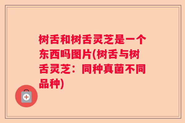 树舌和树舌灵芝是一个东西吗图片(树舌与树舌灵芝:同种真菌不同品种) 树舌和树舌灵芝是一个东西吗图片(树舌与树舌灵芝:同种真菌不同品种)