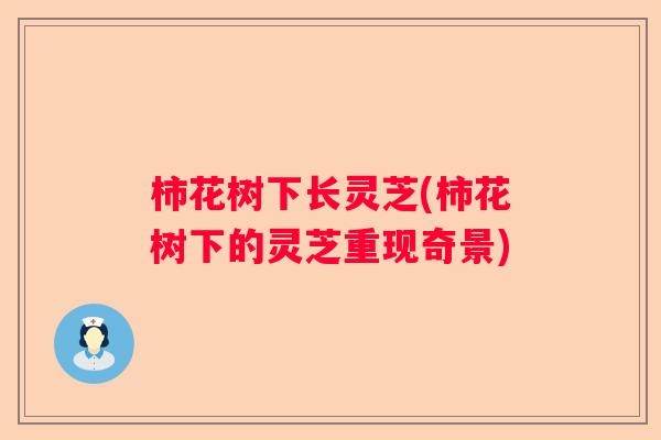 柿花树下长灵芝(柿花树下的灵芝重现奇景) 柿花树下长灵芝(柿花树下的灵芝重现奇景)
