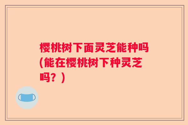 樱桃树下面灵芝能种吗(能在樱桃树下种灵芝吗？)