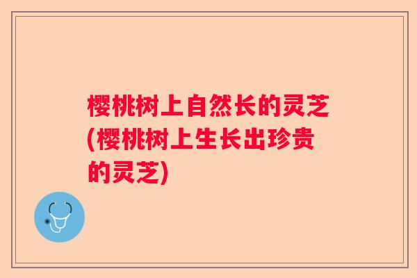 樱桃树上自然长的灵芝(樱桃树上生长出珍贵的灵芝)