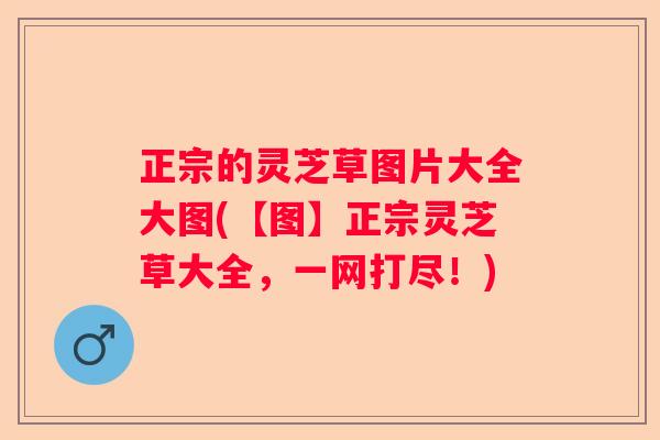 正宗的灵芝草图片大全大图(【图】正宗灵芝草大全，一网打尽！)