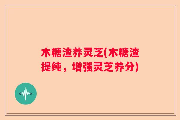 木糖渣养灵芝(木糖渣提纯，增强灵芝养分)