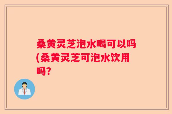 桑黄灵芝泡水喝可以吗(桑黄灵芝可泡水饮用吗？