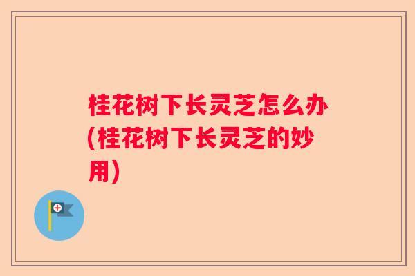 桂花树下长灵芝怎么办(桂花树下长灵芝的妙用)