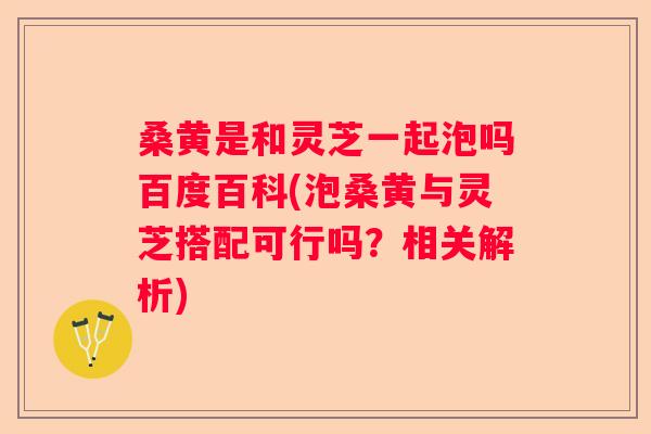桑黄是和灵芝一起泡吗百度百科(泡桑黄与灵芝搭配可行吗？相关解析)