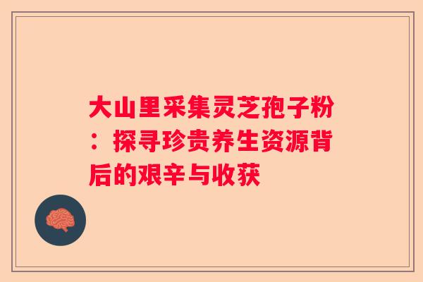 大山里采集灵芝孢子粉：探寻珍贵养生资源背后的艰辛与收获
