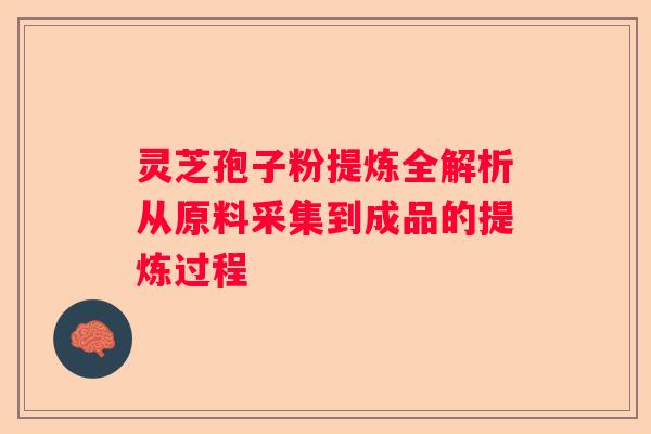 灵芝孢子粉提炼全解析从原料采集到成品的提炼过程