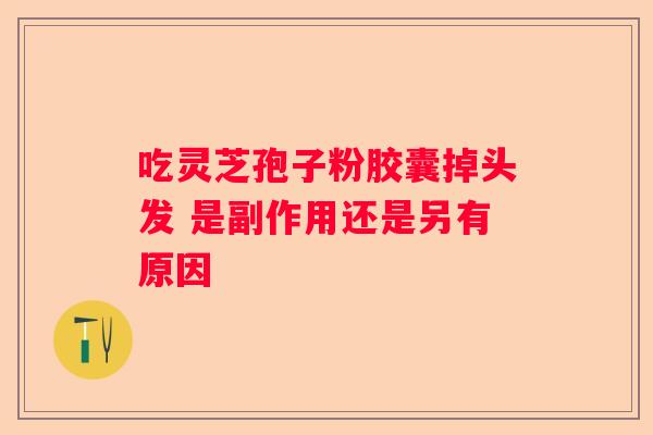 吃灵芝孢子粉胶囊掉头发 是副作用还是另有原因