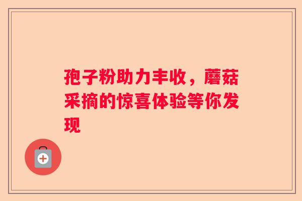 孢子粉助力丰收，蘑菇采摘的惊喜体验等你发现