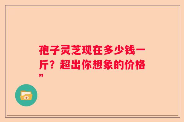 孢子灵芝现在多少钱一斤？超出你想象的价格”