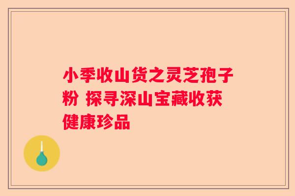 小季收山货之灵芝孢子粉 探寻深山宝藏收获健康珍品