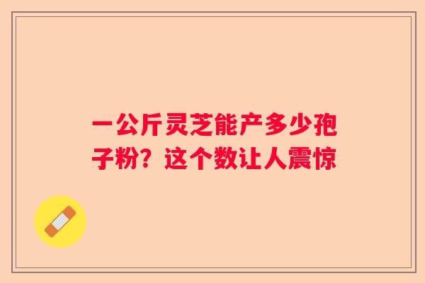 一公斤灵芝能产多少孢子粉？这个数让人震惊