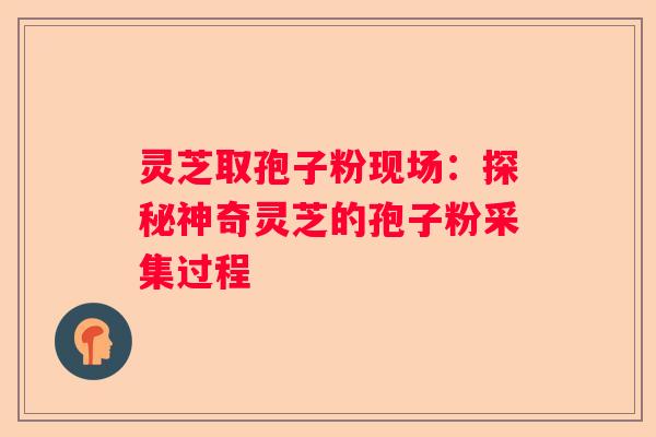 灵芝取孢子粉现场：探秘神奇灵芝的孢子粉采集过程