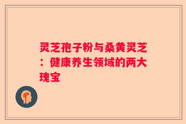 灵芝孢子粉与桑黄灵芝：健康养生领域的两大瑰宝
