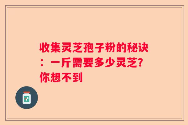 收集灵芝孢子粉的秘诀：一斤需要多少灵芝？你想不到