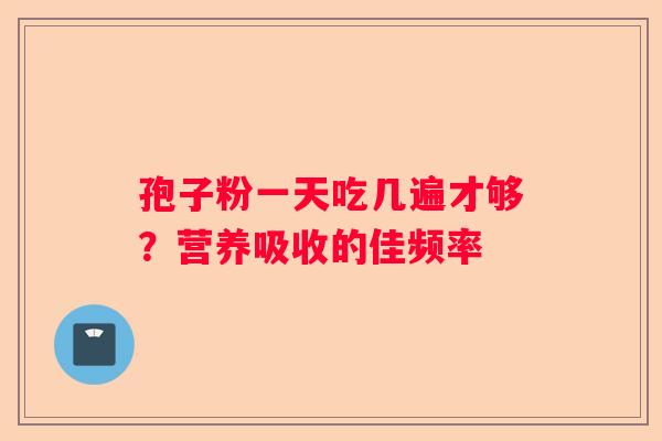 孢子粉一天吃几遍才够？营养吸收的佳频率
